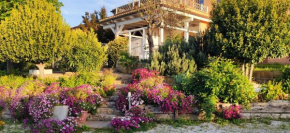 Joka B&B e Home Food Potenza Picena